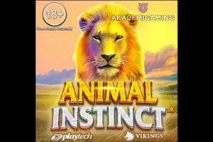 PLAYTECH SLOT